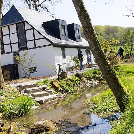 Michels Muehle - Wieder Land Sehen Brilon Exterior foto