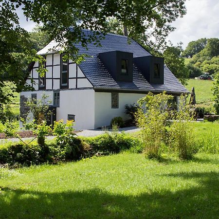 Michels Muehle - Wieder Land Sehen Brilon Exterior foto