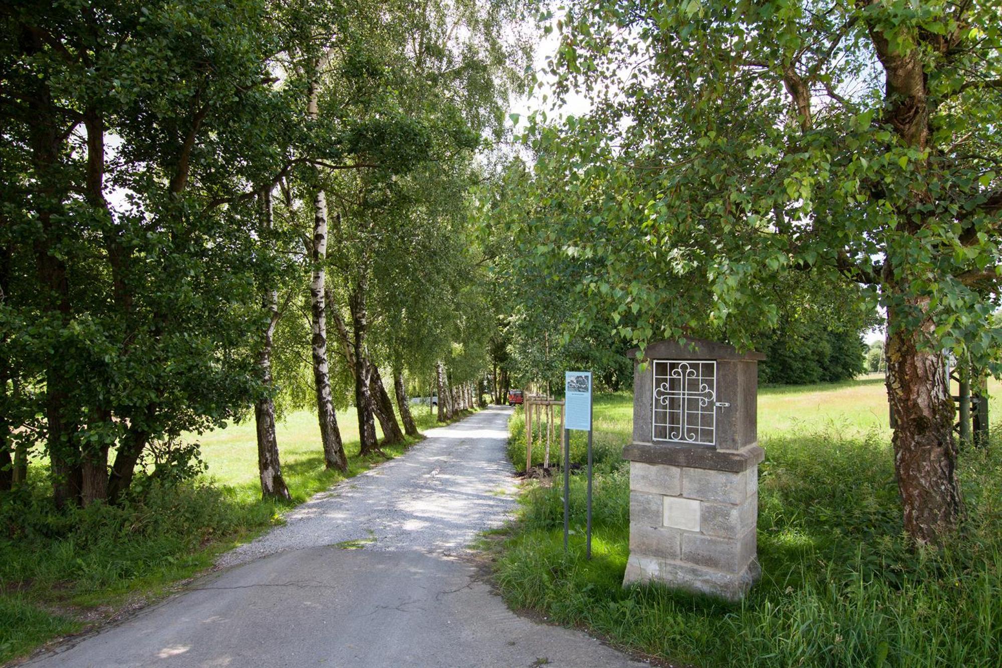 Michels Muehle - Wieder Land Sehen Brilon Exterior foto